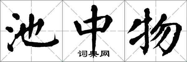 翁闿运池中物楷书怎么写