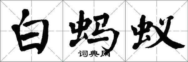 翁闿运白蚂蚁楷书怎么写