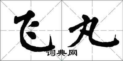 翁闿运飞丸楷书怎么写