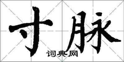 翁闿运寸脉楷书怎么写