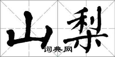翁闿运山梨楷书怎么写