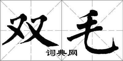 翁闿运双毛楷书怎么写