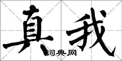 翁闿运真我楷书怎么写