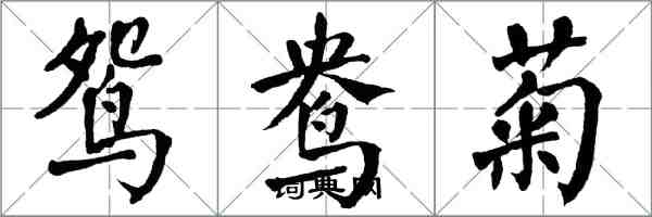 翁闿运鸳鸯菊楷书怎么写