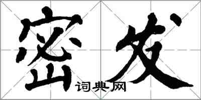 翁闿运密发楷书怎么写