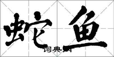 翁闿运蛇鱼楷书怎么写