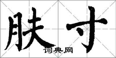 翁闿运肤寸楷书怎么写