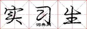 庞中华实习生行书怎么写