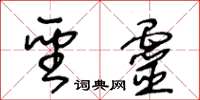 王冬龄圣灵草书怎么写