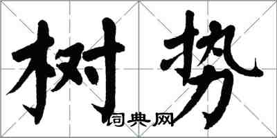 翁闿运树势楷书怎么写