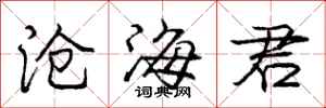 庞中华沧海君行书怎么写