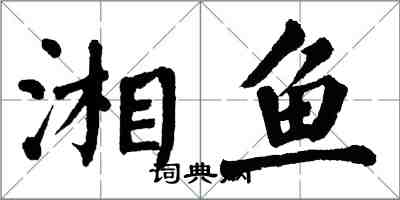 翁闿运湘鱼楷书怎么写