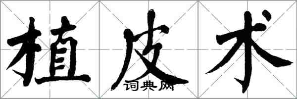 翁闿运植皮术楷书怎么写