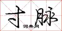 庞中华寸脉行书怎么写