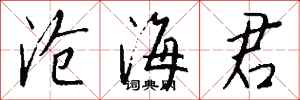 钱沛云沧海君行书怎么写