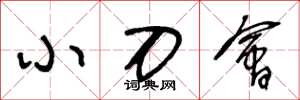王冬龄小刀会草书怎么写