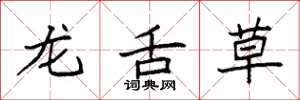 袁强龙舌草楷书怎么写
