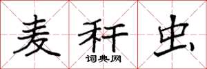 袁强麦秆虫楷书怎么写