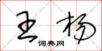 王冬龄王杨草书怎么写