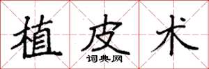 袁强植皮术楷书怎么写