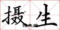 丁谦摄生楷书怎么写