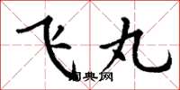 丁谦飞丸楷书怎么写
