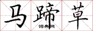 丁谦马蹄草楷书怎么写