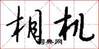 钱沛云相机行书怎么写