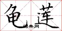 丁谦龟莲楷书怎么写