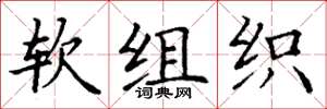 丁谦软组织楷书怎么写