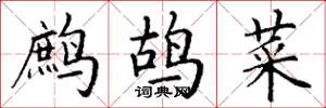 丁谦鹧鸪菜楷书怎么写