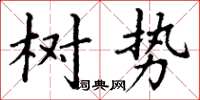 丁谦树势楷书怎么写