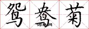 丁谦鸳鸯菊楷书怎么写