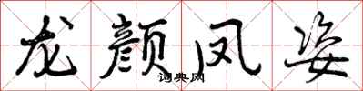 曾庆福龙颜凤姿行书怎么写
