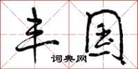 曾庆福丰国行书怎么写