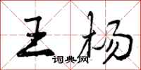 曾庆福王杨行书怎么写