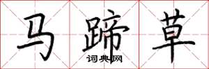 荆霄鹏马蹄草楷书怎么写