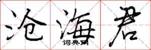 曾庆福沧海君行书怎么写