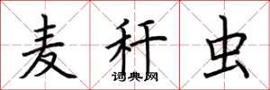 荆霄鹏麦秆虫楷书怎么写