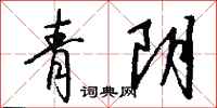 钱沛云青阴行书怎么写