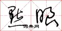 王冬龄點眼草书怎么写