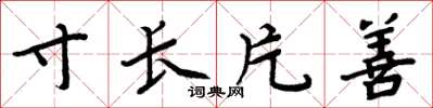 周炳元寸长片善楷书怎么写