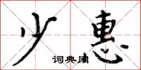 周炳元少惠楷书怎么写