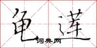 黄华生龟莲楷书怎么写