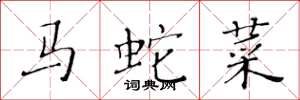 黄华生马蛇菜楷书怎么写