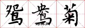 周炳元鸳鸯菊楷书怎么写