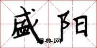 周炳元盛阳楷书怎么写