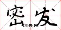 周炳元密发楷书怎么写