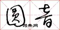 王冬龄圆音草书怎么写
