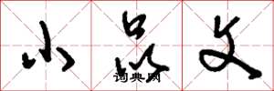 刘少英小品文草书怎么写